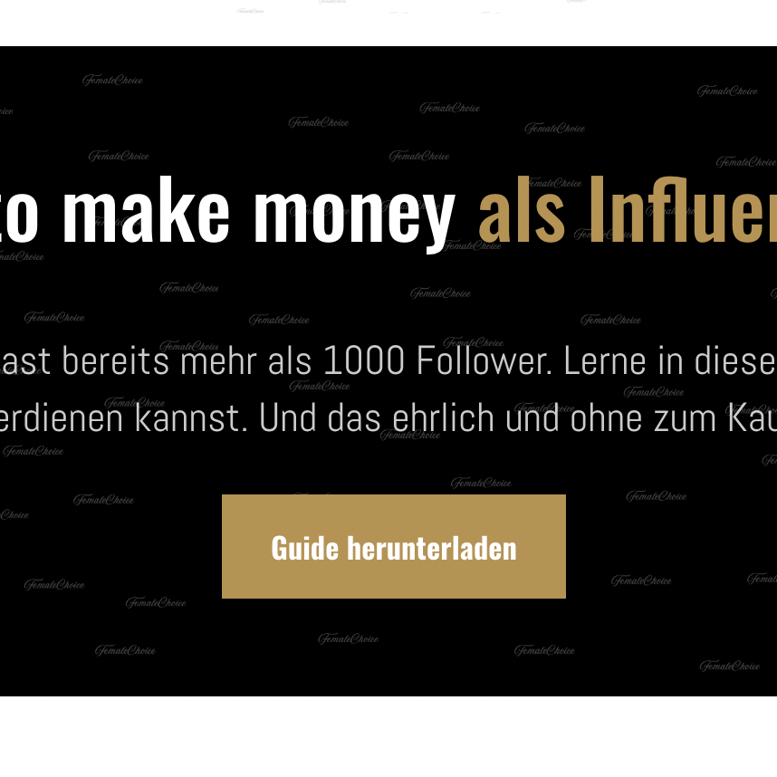 FREEBIE - Der Profi Guide für Influencerinnen thumbnail