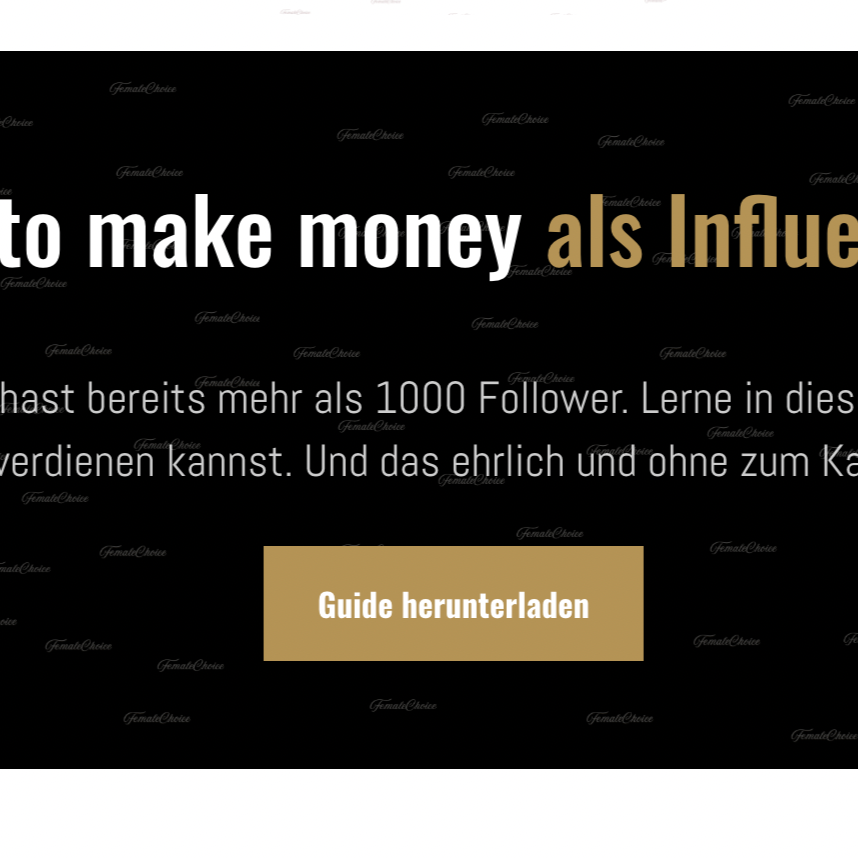 Wie du als Influencerin mit 1000 Followern Geld verdienst. thumbnail