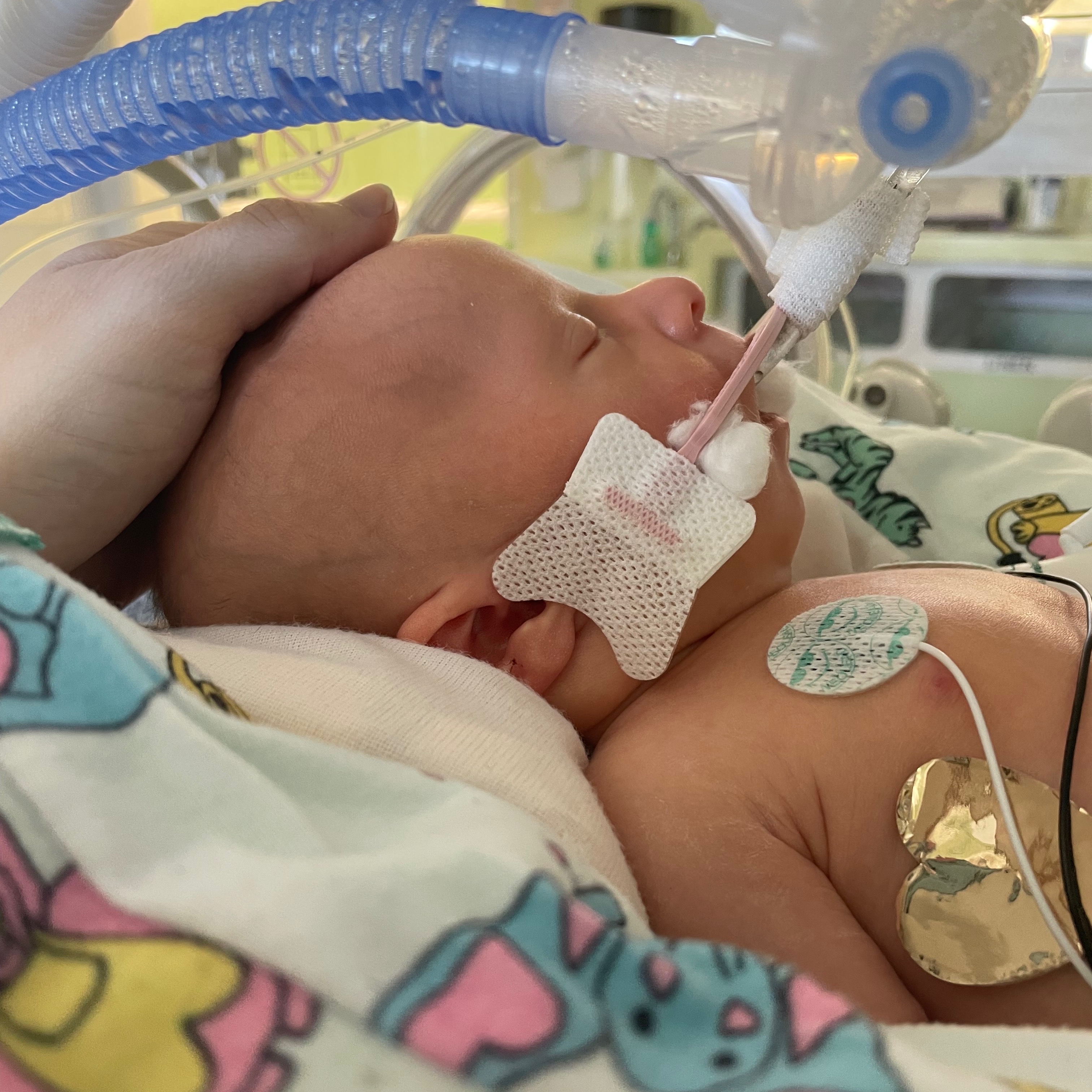 Give Send Go thumbnail