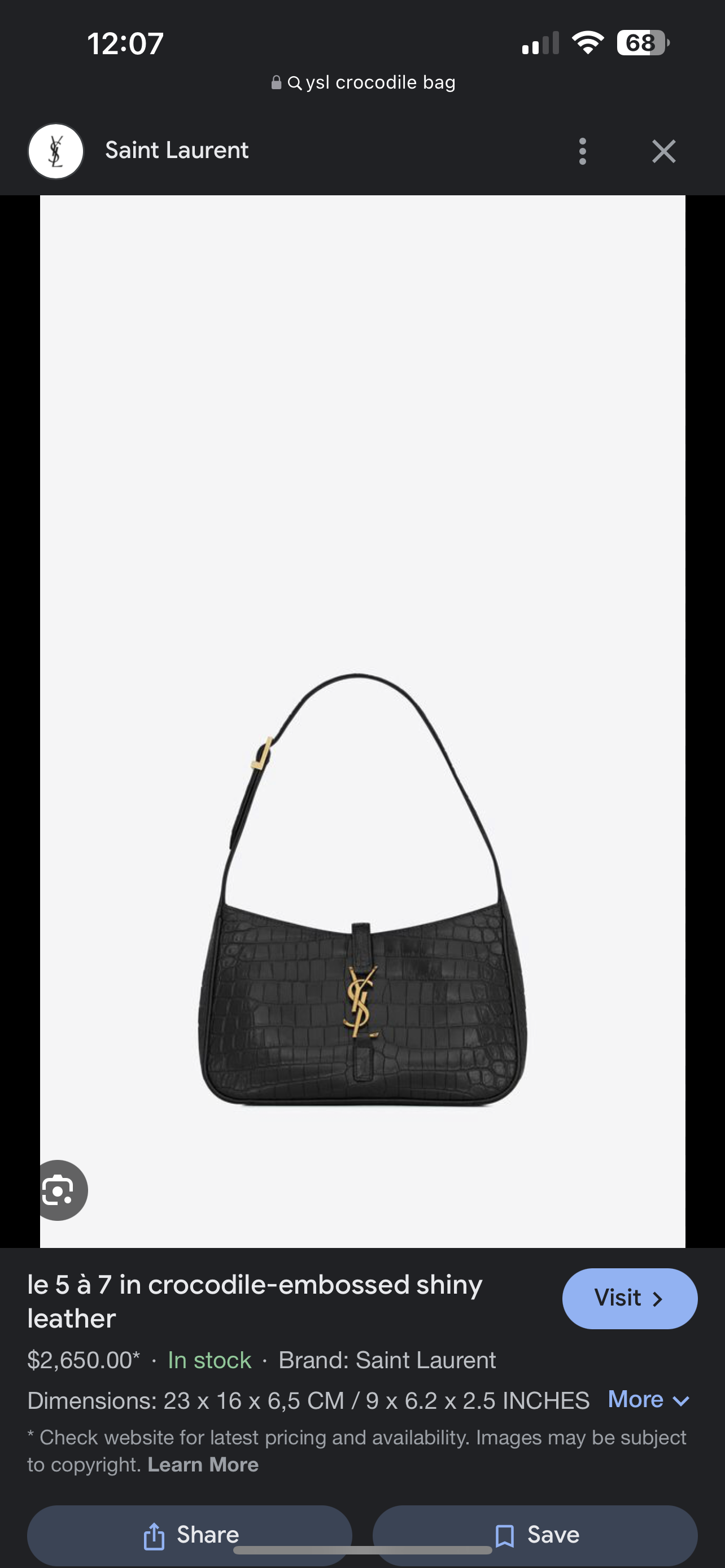 YSL Croc thumbnail