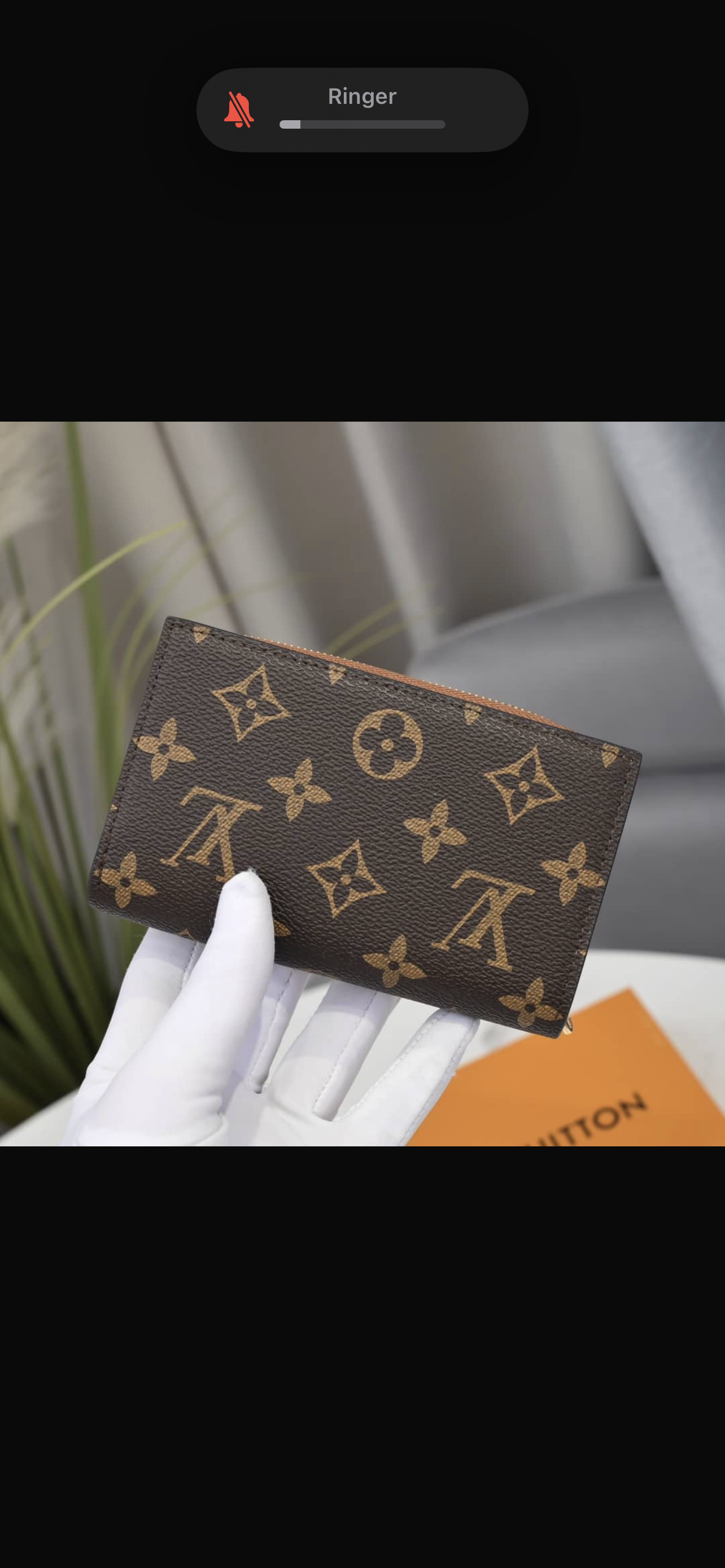 LV Wallet  thumbnail