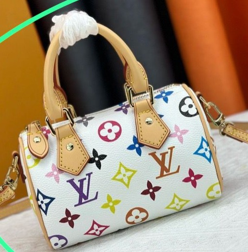 LV Multicolor Speedy thumbnail