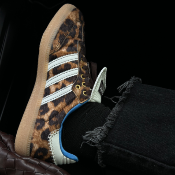 Sambas  thumbnail