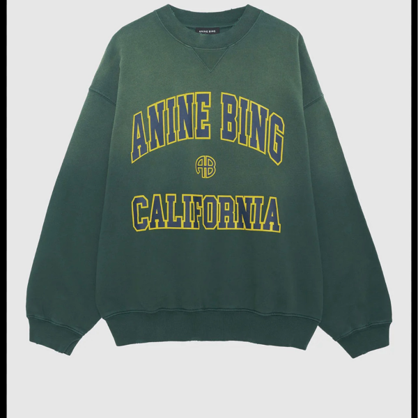Anine Bing (actually obsessed)  thumbnail