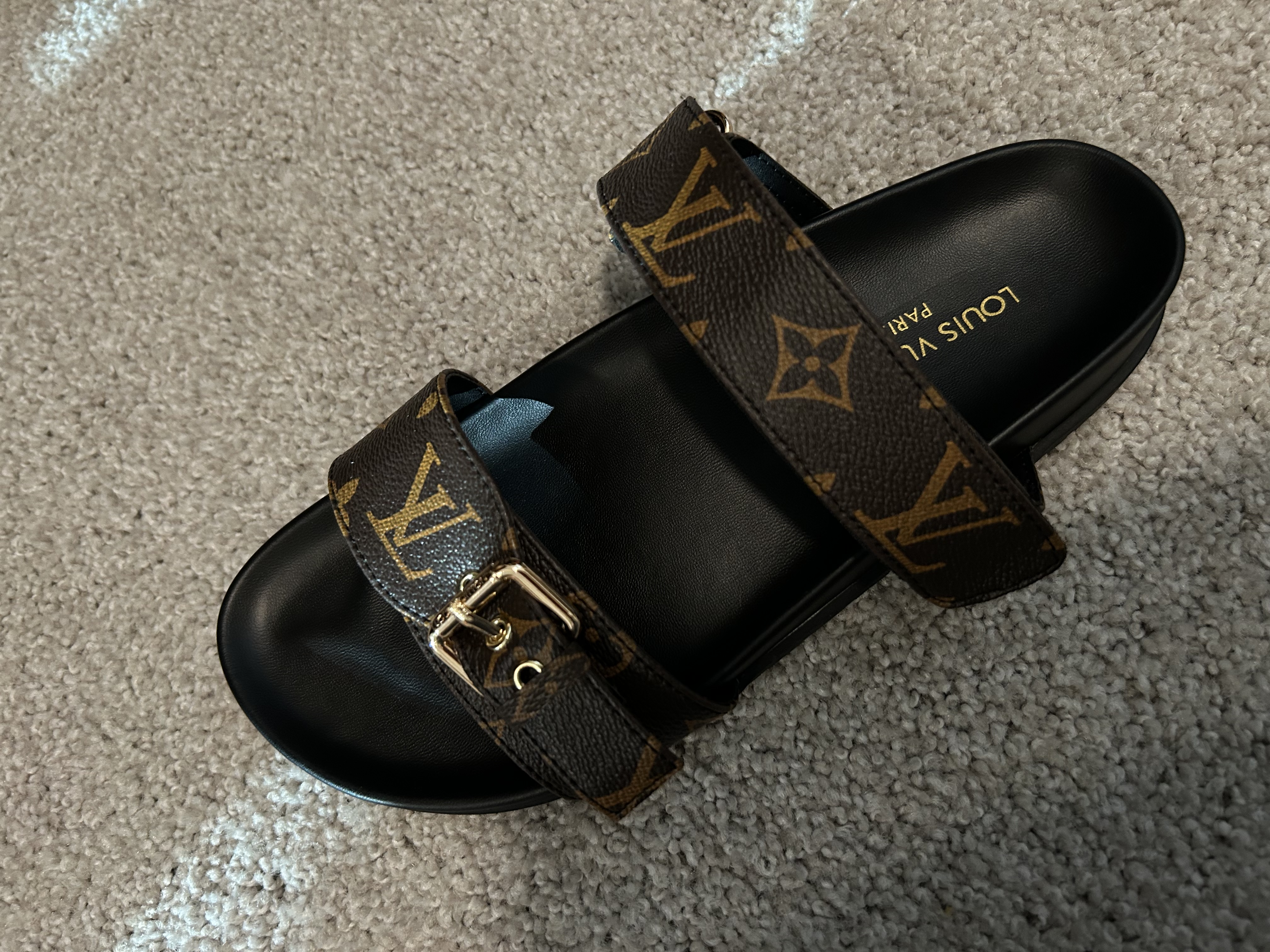 LV Slides  thumbnail