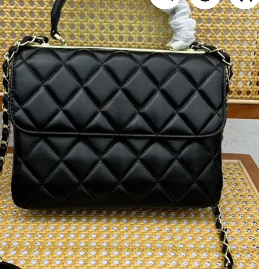 Chanel Handbag thumbnail