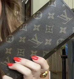LV Wallet  thumbnail