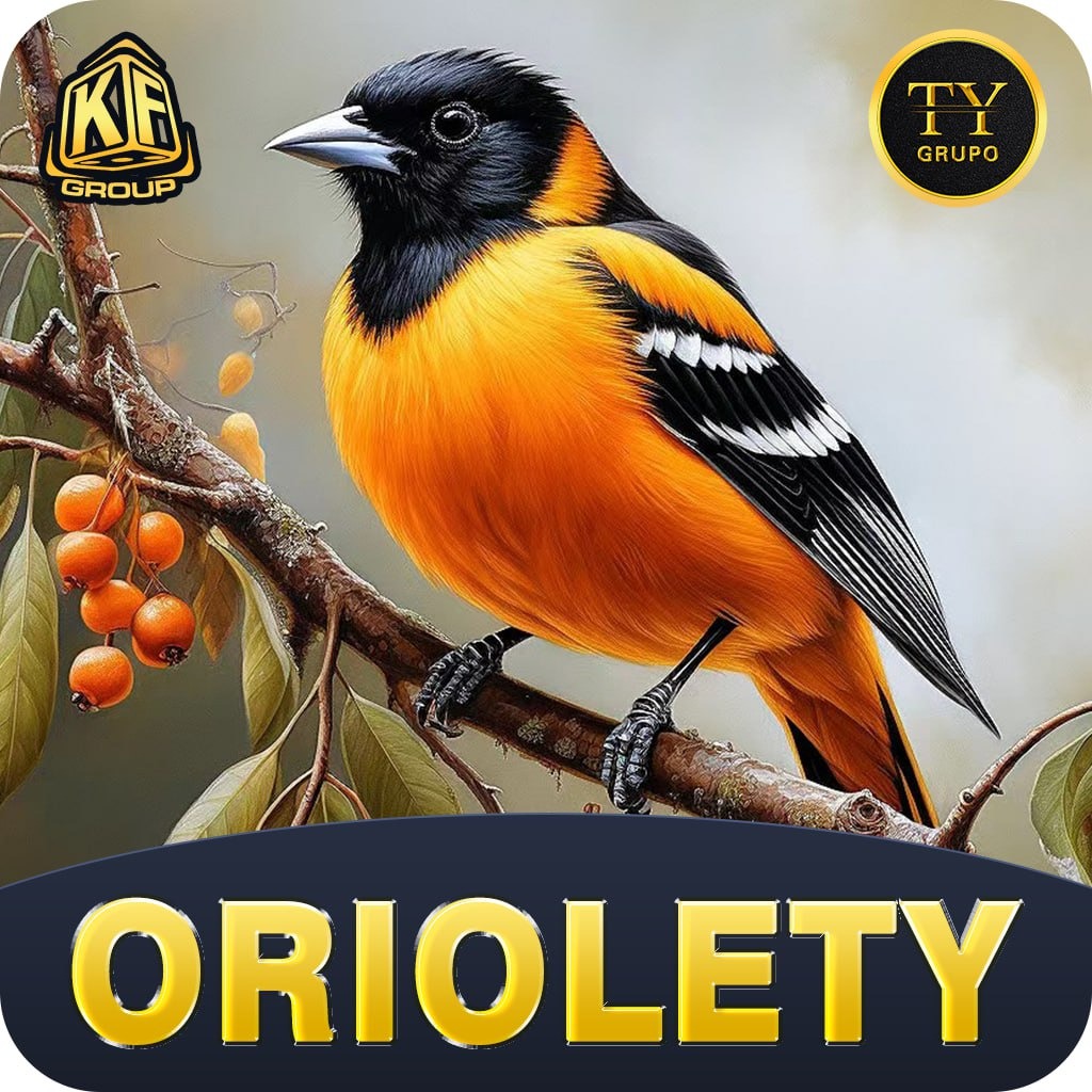 ORIOLETY thumbnail