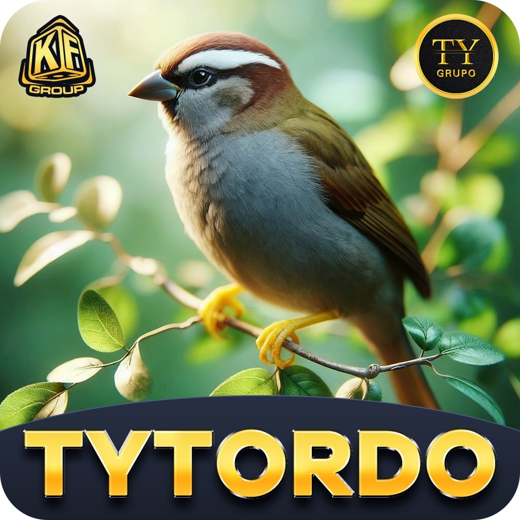 TYTORDO thumbnail