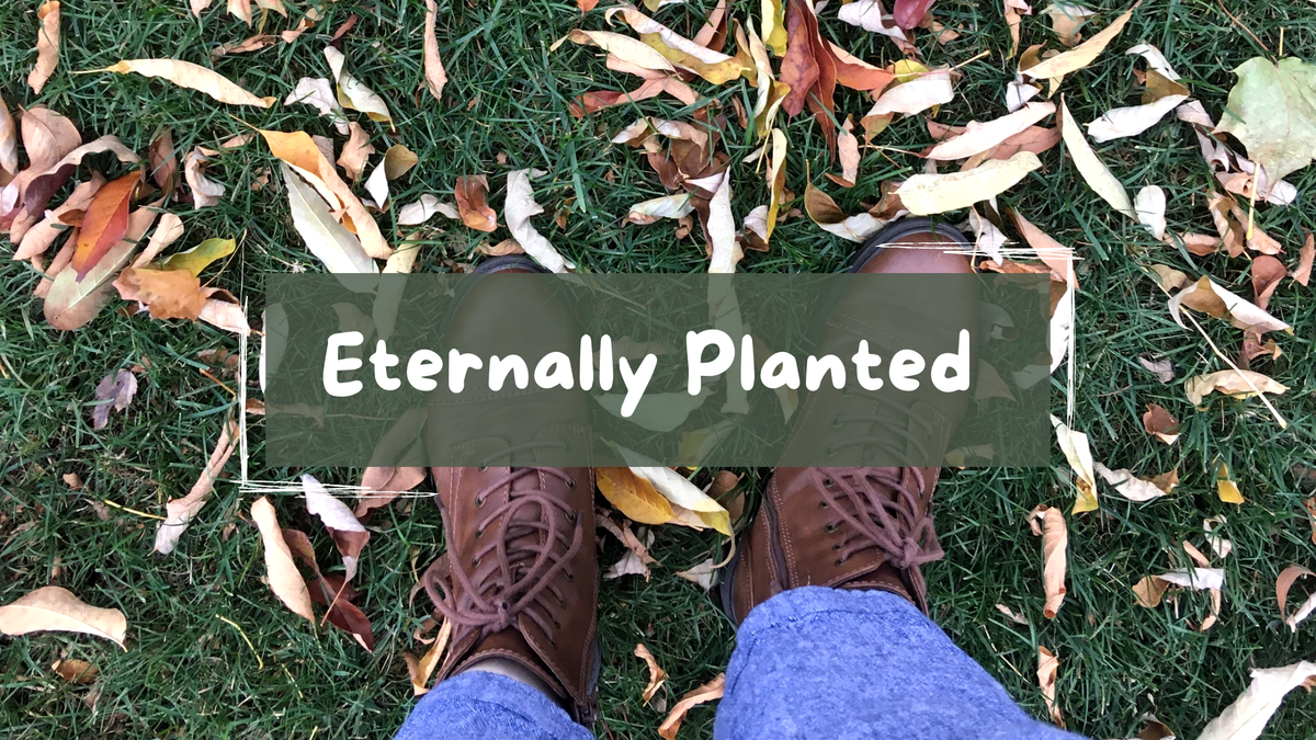 An Eternally Planted Welcome thumbnail