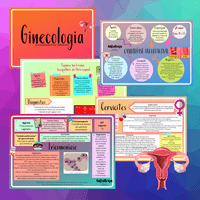 FICHAS - GINECOLOGIA thumbnail