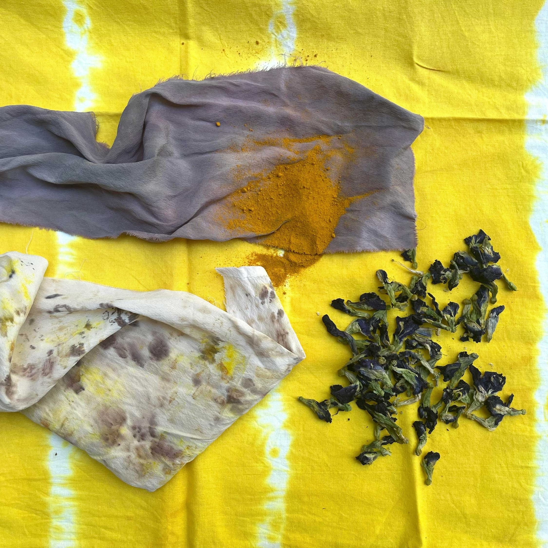 Workshop: Natural Dyes . March 15, 2025. The Kampong Gardens thumbnail