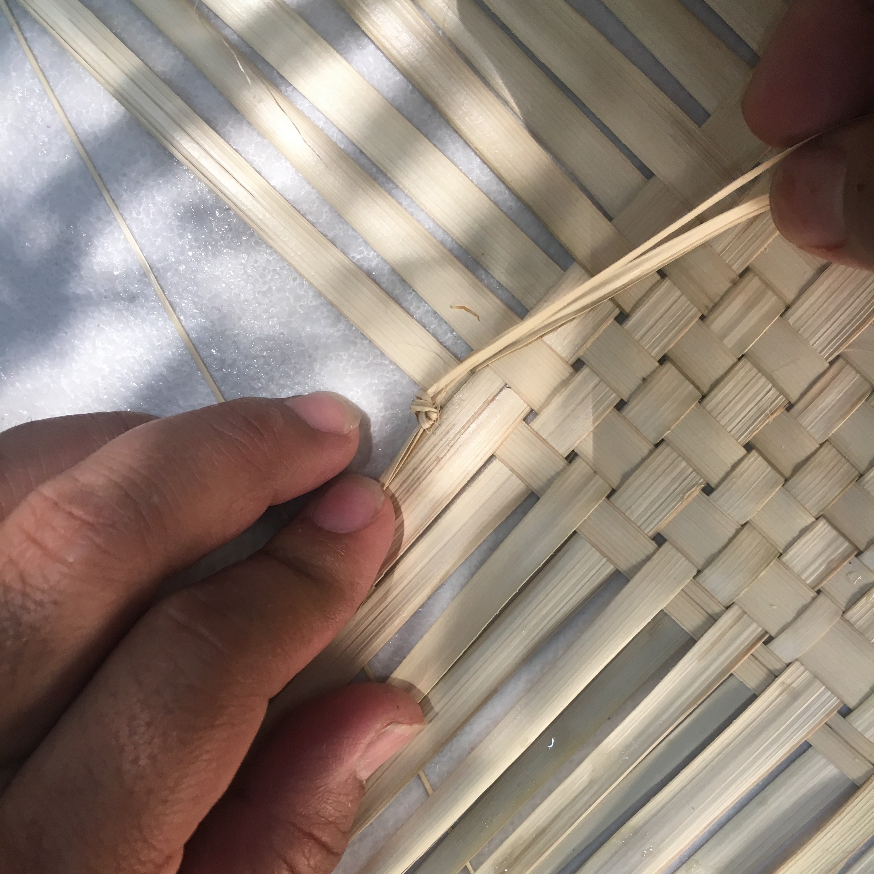 Workshop: Palm Weaving.  July 26, 2025 thumbnail