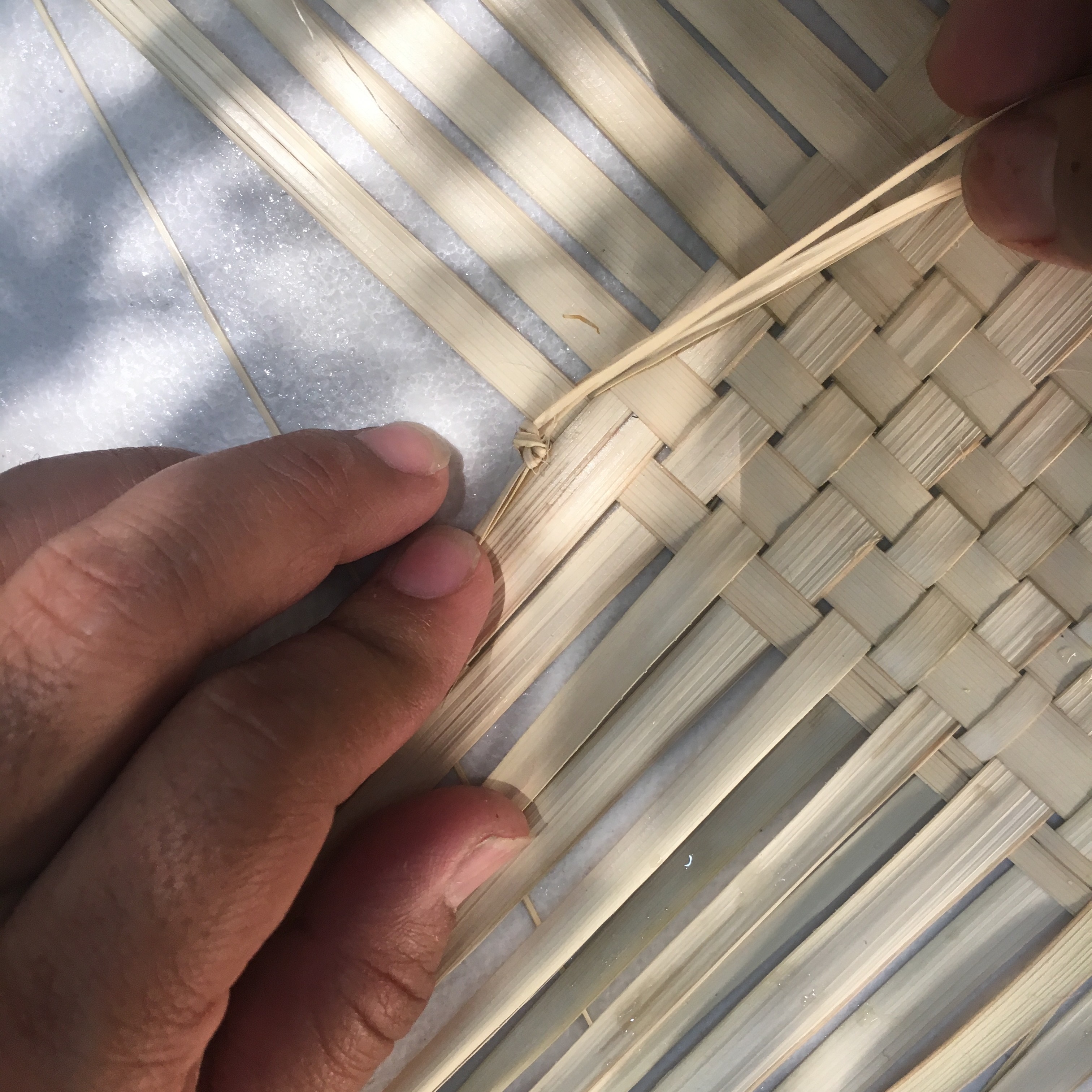 Workshop: Palm Weaving. Saturday, April 5, 2025.  thumbnail