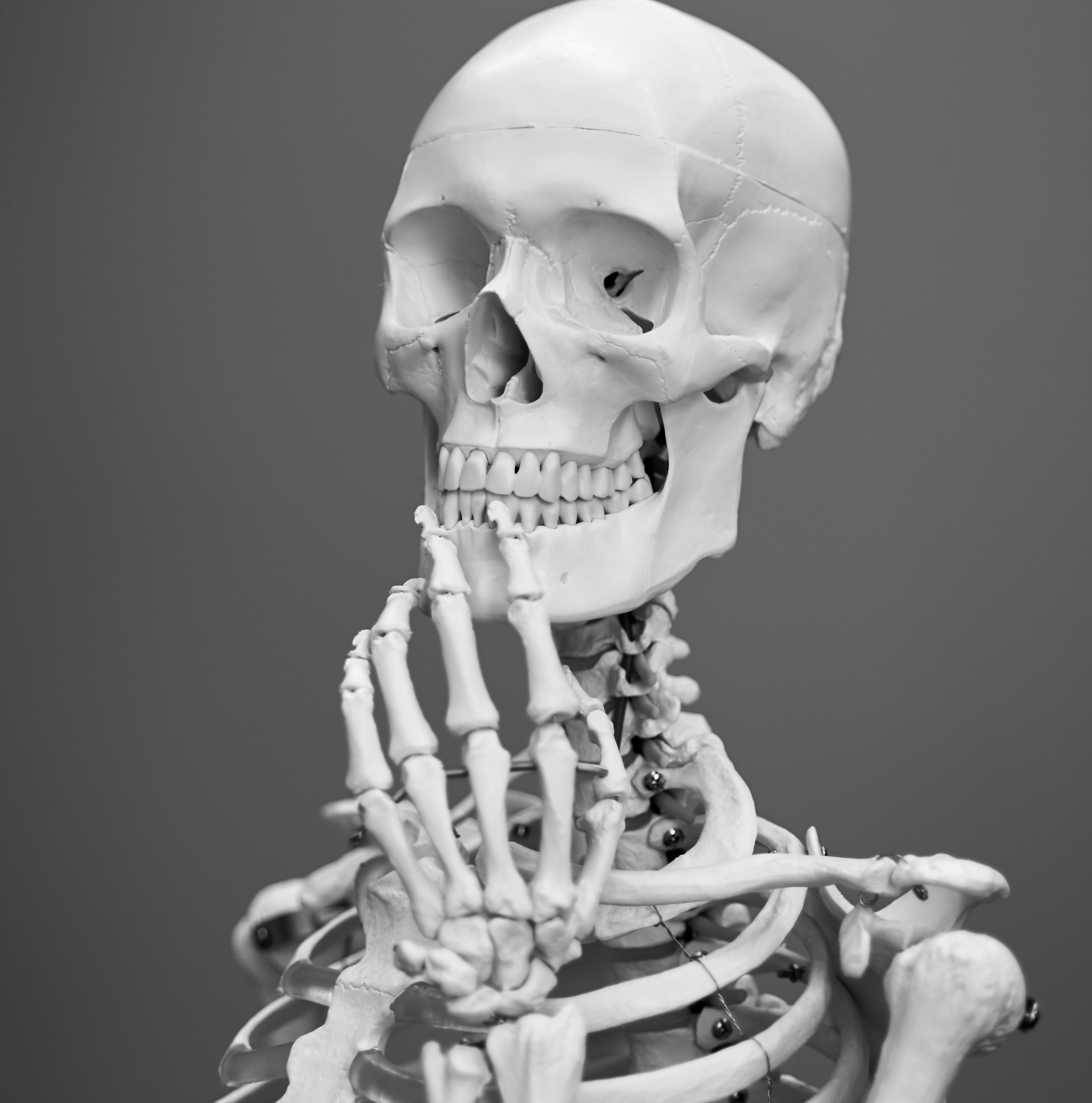 WRITING Portfolio: Humor, Satire, Essays thumbnail