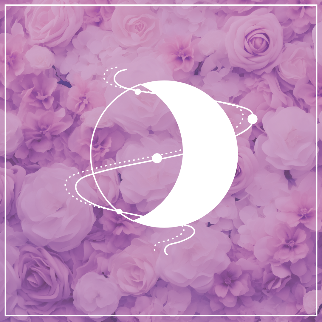 Colaboraciones & Publicidad thumbnail