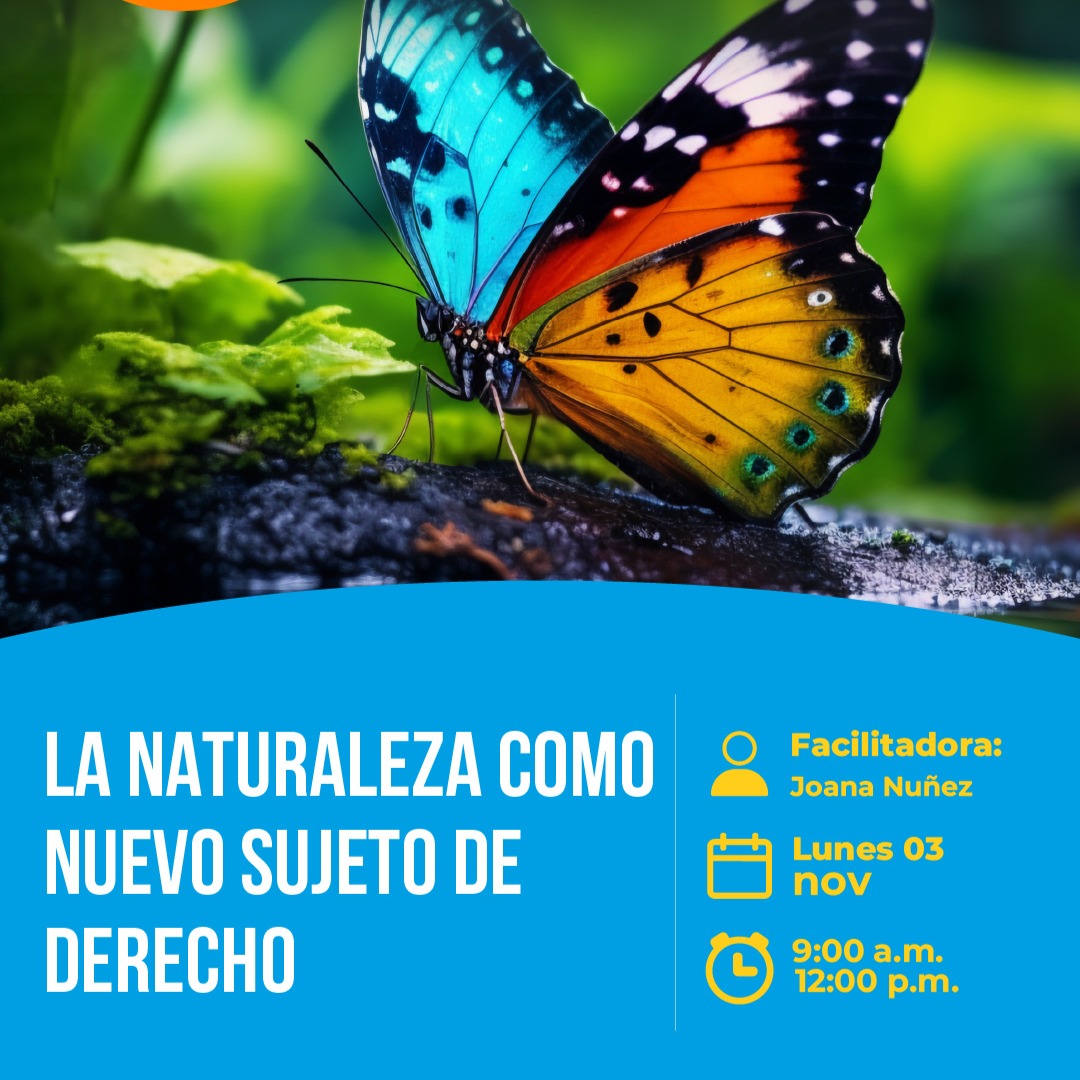 03 de noviembre thumbnail