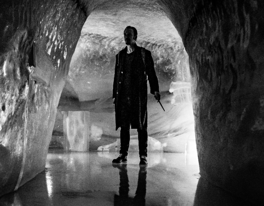 Book Steve for special appearances thumbnail