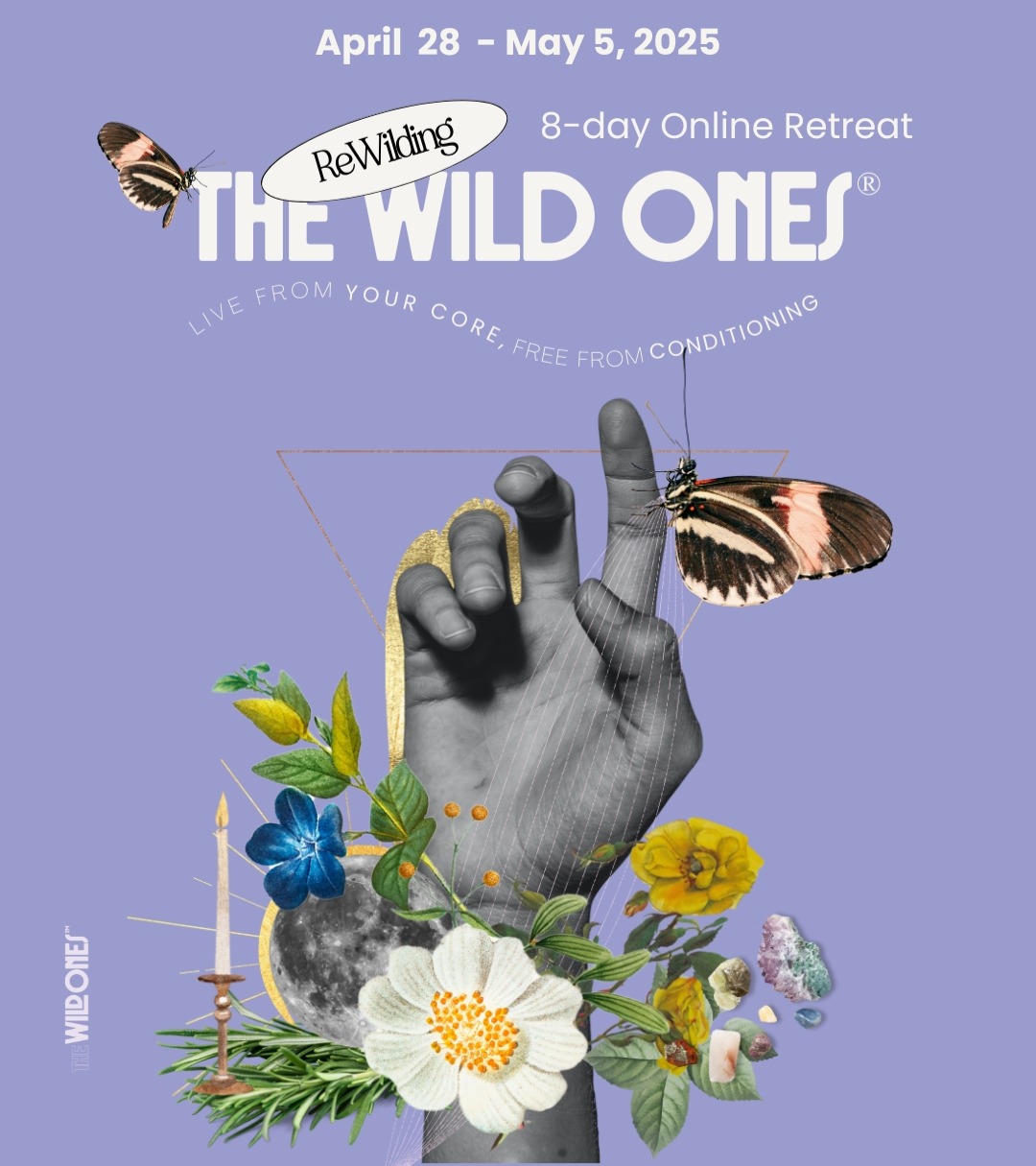 FREE: ReWilding Virtual Retreat thumbnail