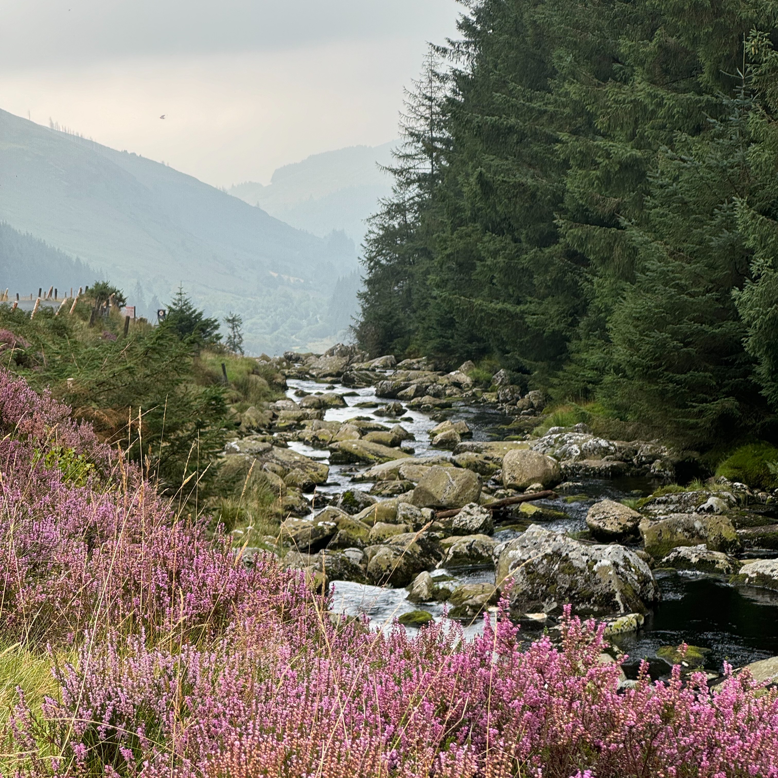 FREE WICKLOW TRAVEL GUIDE ⛰️ thumbnail