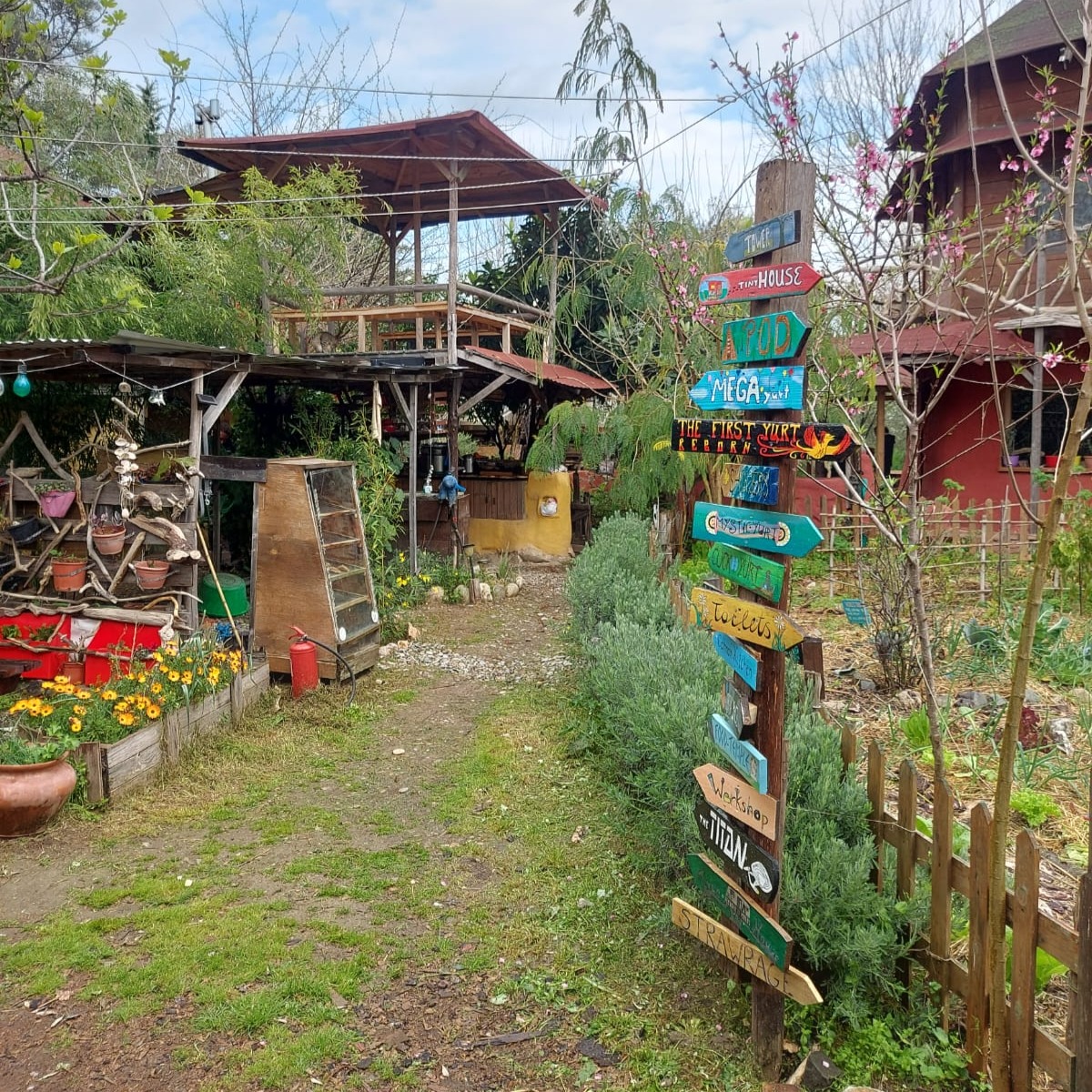 Greece Ecovillage Tour | September 2026 thumbnail
