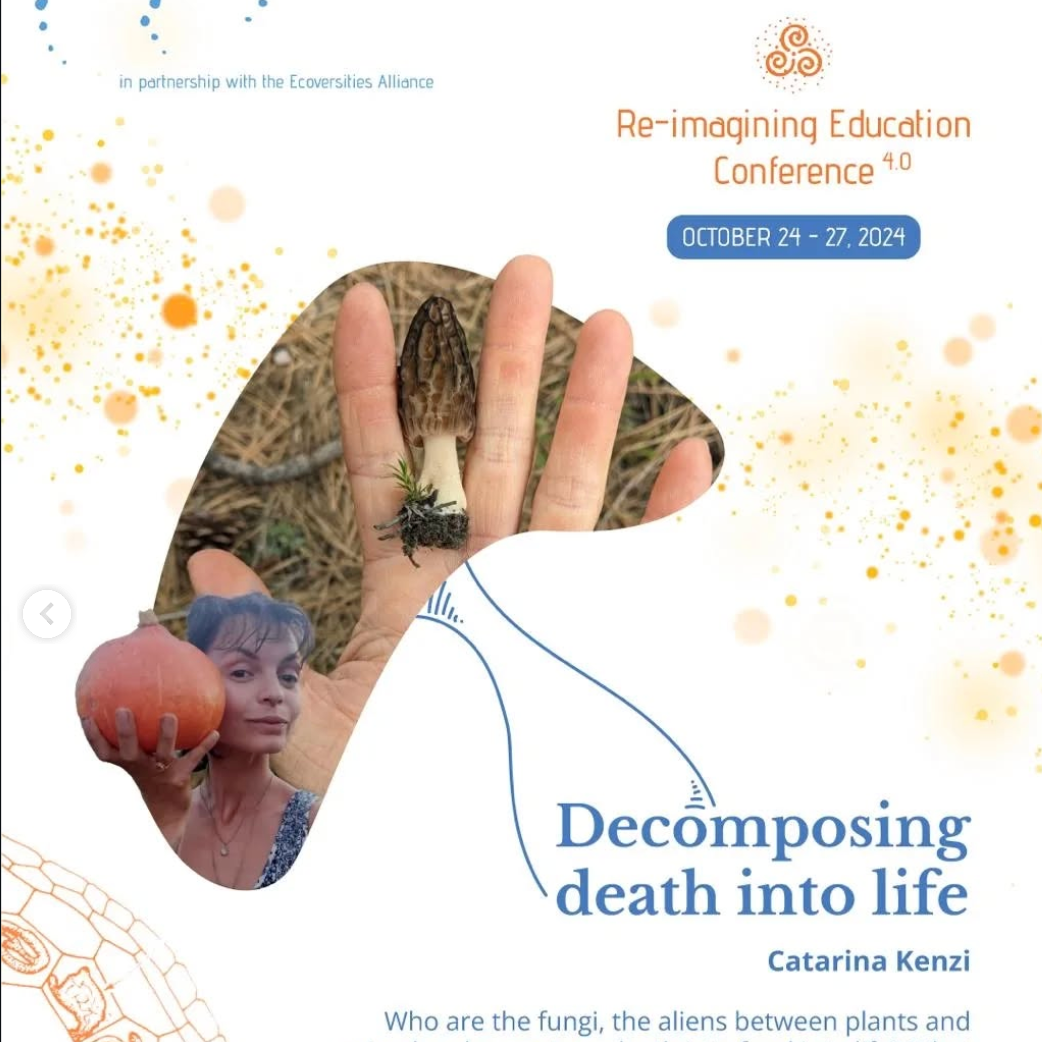 Decomposing death into life | guided meditation at Reimagining Education Conference 2024 thumbnail