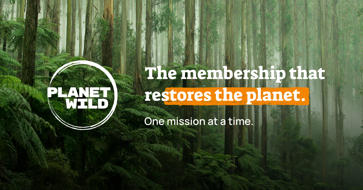 Planet Wild - Conservation Fund Membership thumbnail