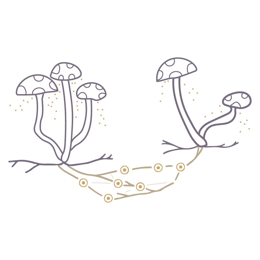 Ecoversities Alliance - a collection of crowdfunding campaigns to support learners and educators around the world thumbnail