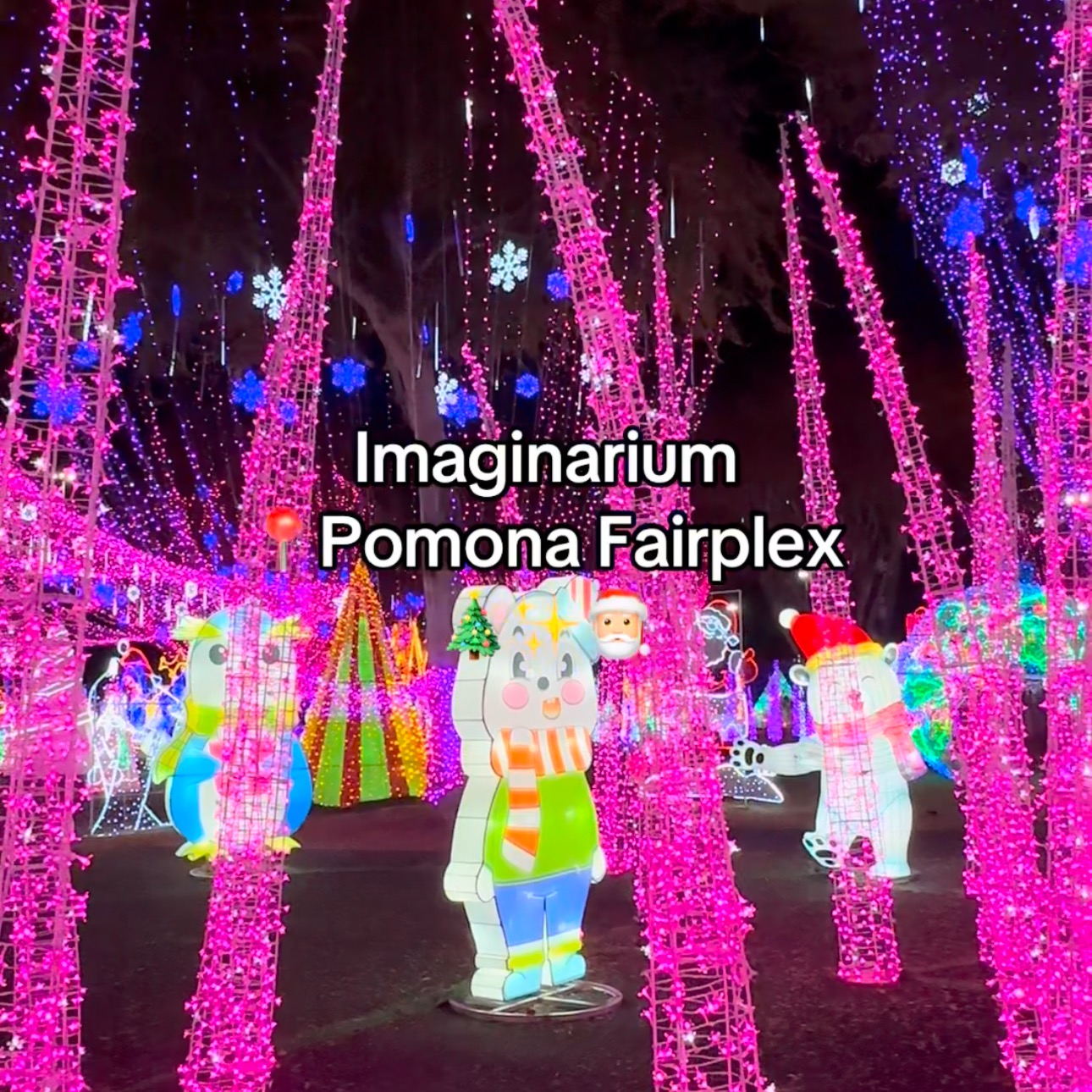 Imaginarium (christmas lights) tickets  thumbnail