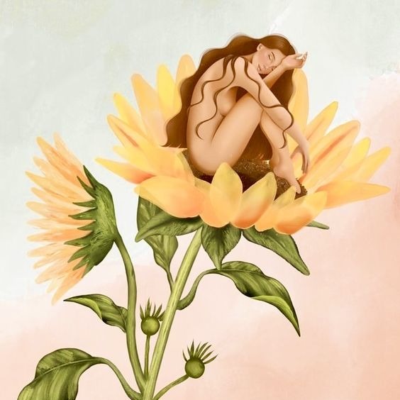 Pack Cocon - 3 mois thumbnail