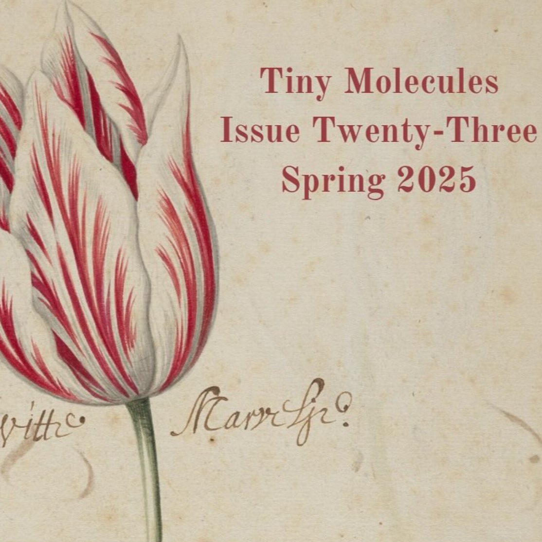 Read "The Summer the Lake Flooded and the Alligator Drowned" in Tiny Molecules thumbnail