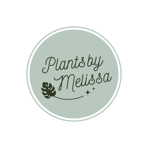 Shop My Plants Here thumbnail