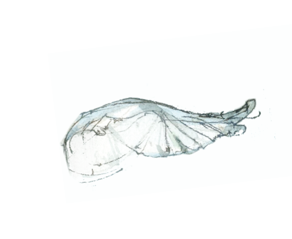 Robin | Stickers thumbnail