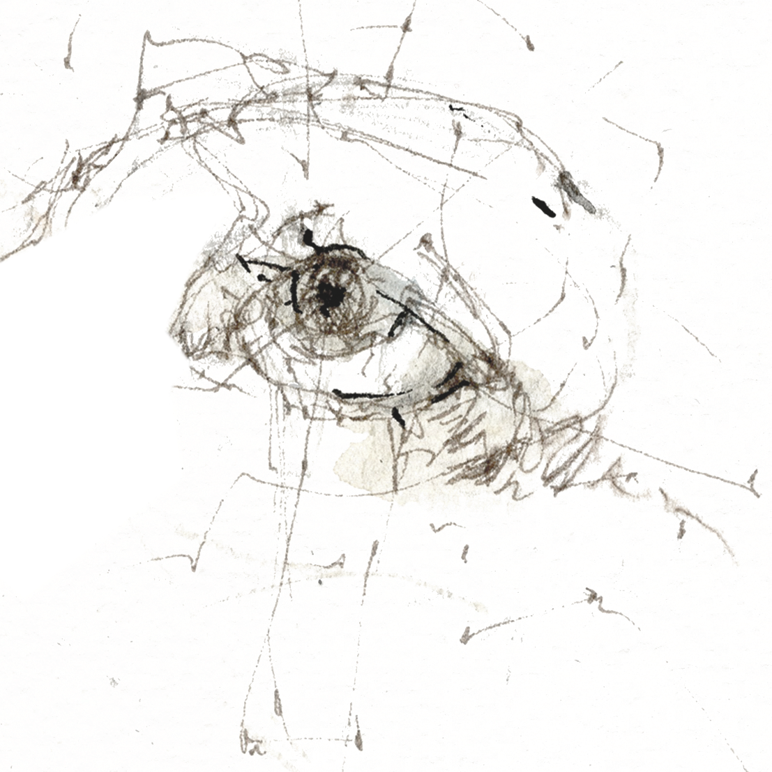 Espresso 5~Notes of Blue thumbnail