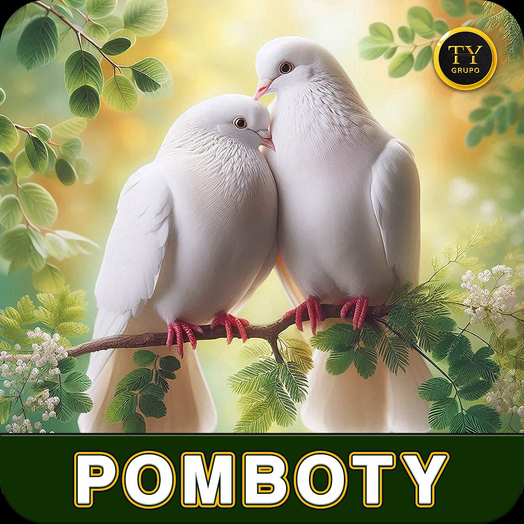 POMBOTY thumbnail