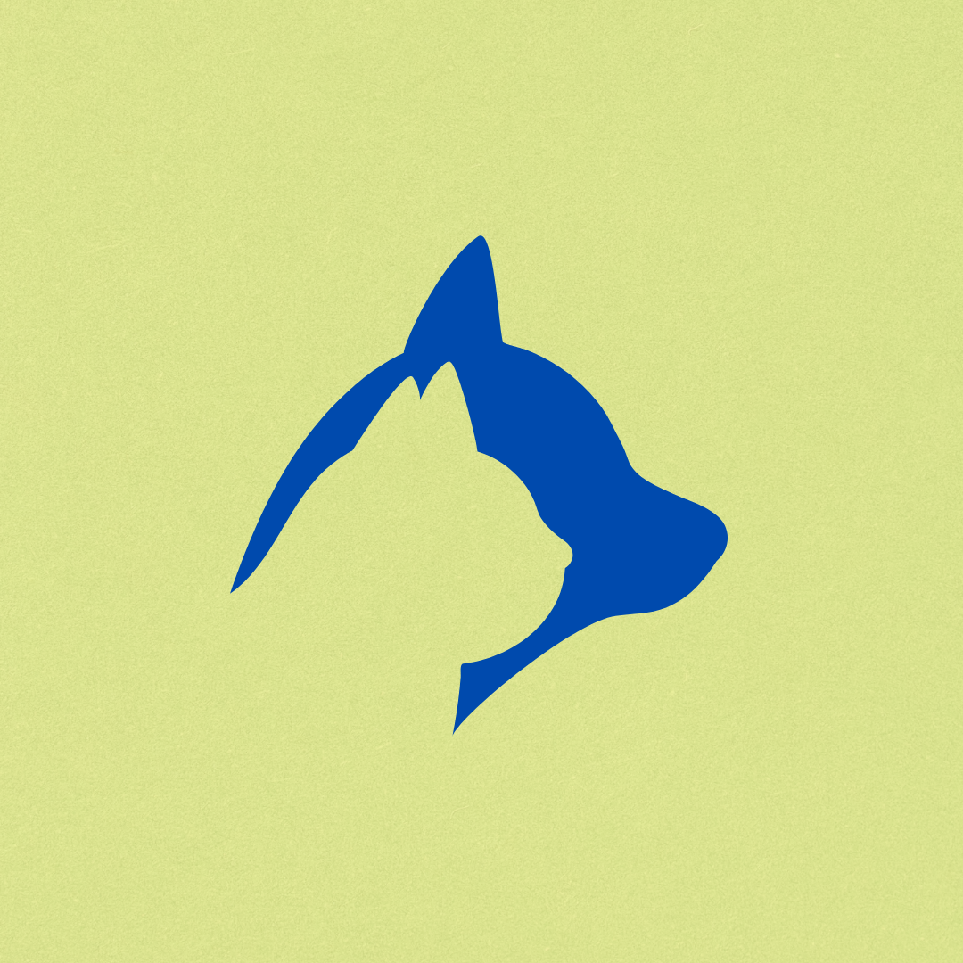 Animais disponíveis para adoção thumbnail