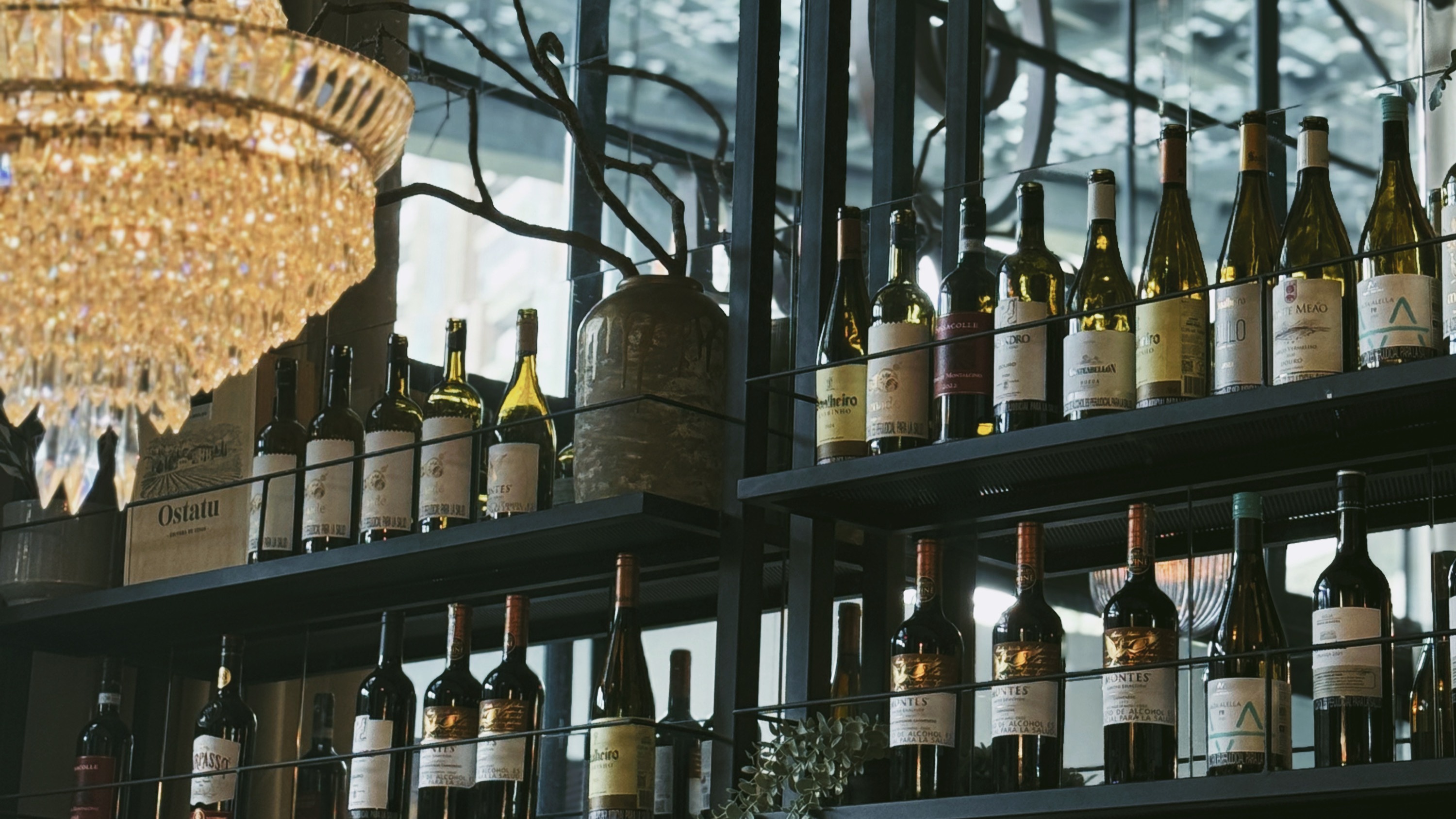 BioSite banner for @bodega
