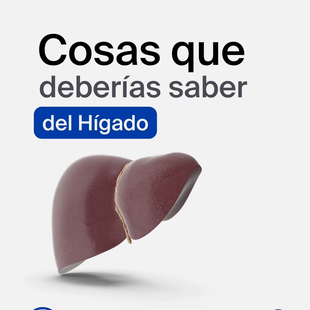 Algunas cosillas importantes que recordar del hígado antes de abordar la fisiopatología de las enfermedades hepáticas.

