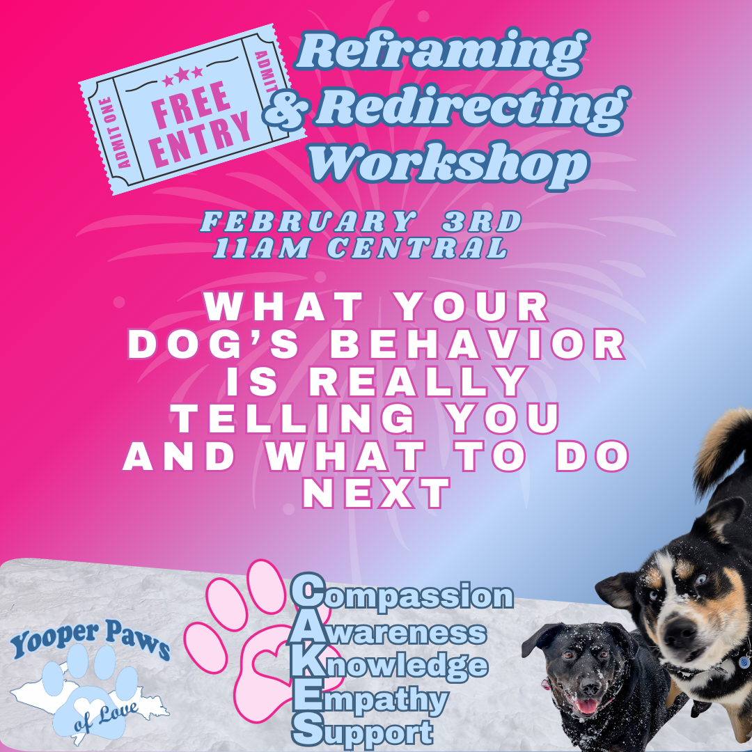 Reframing & Redirecting Workshop thumbnail