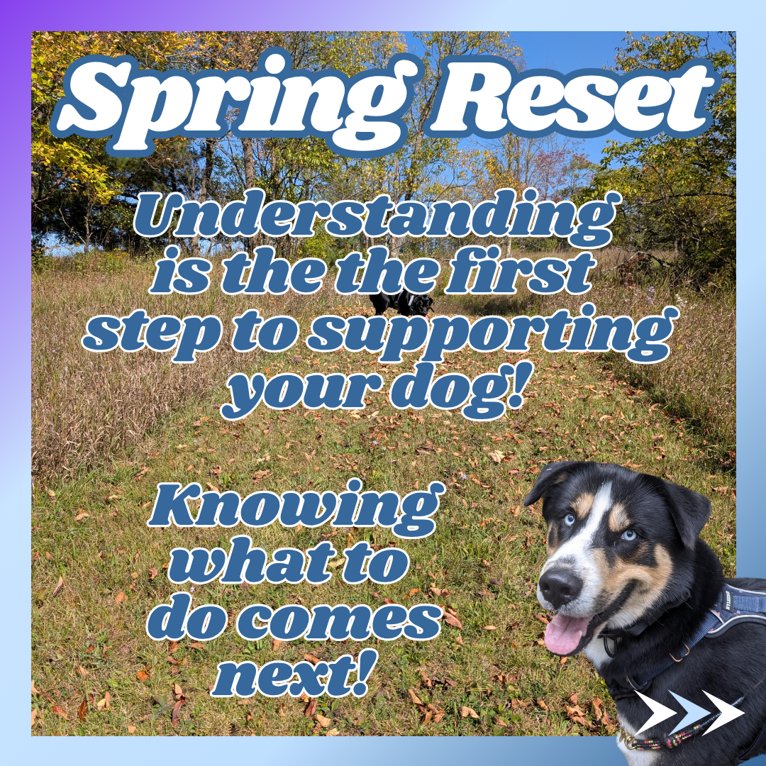 Small Steps = Big Shifts thumbnail