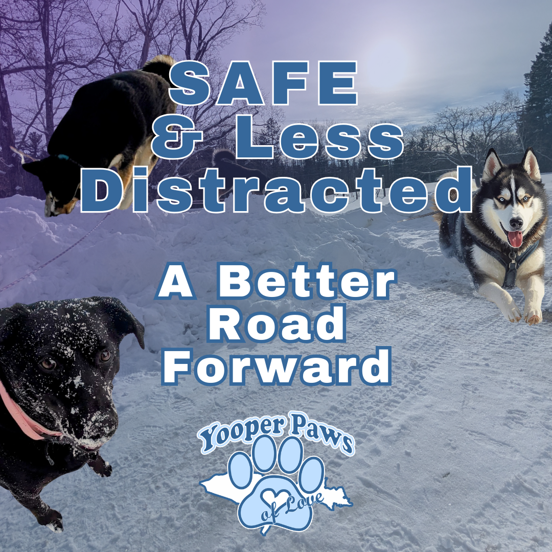 SAFE & Less Distracted thumbnail