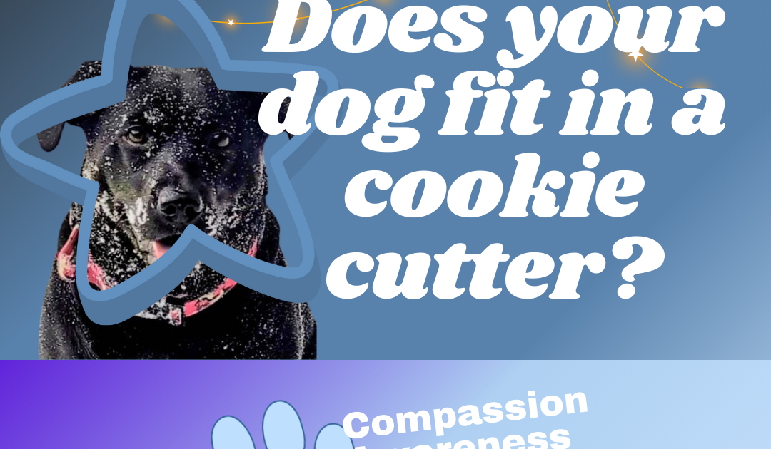 Avoiding The Cookie Cutter thumbnail