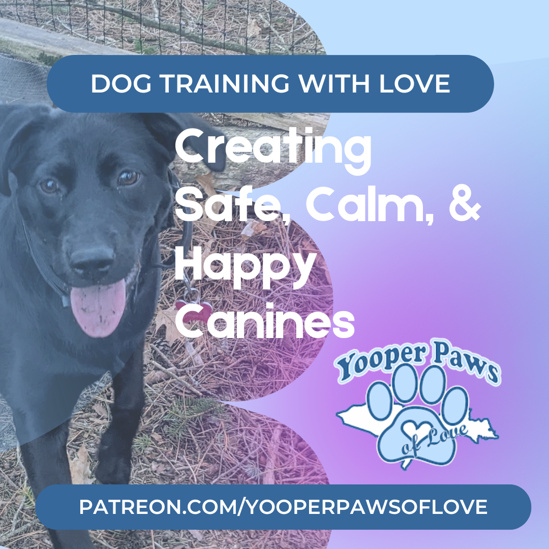 Yooper Paws Website thumbnail