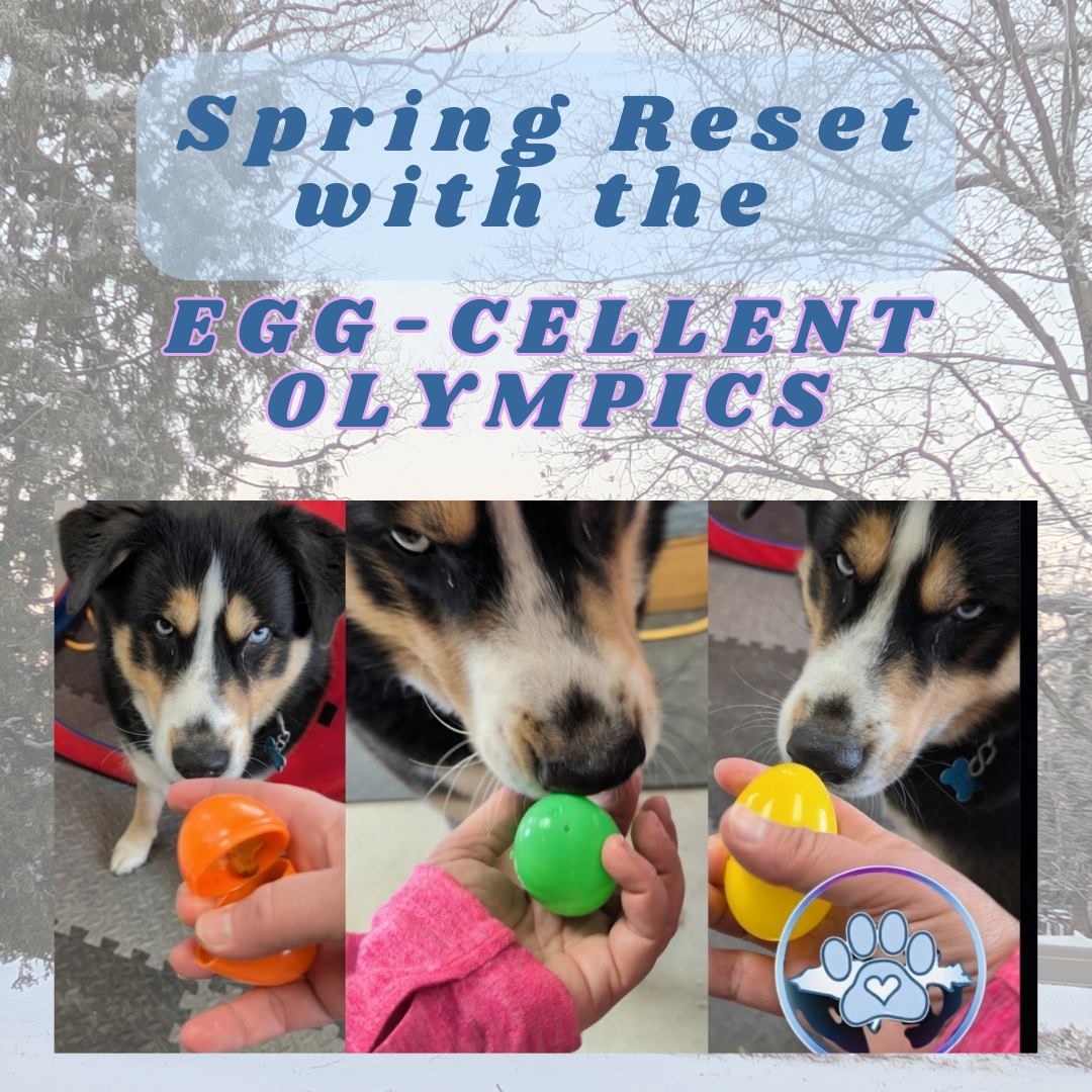 The Egg-cellent Olympics thumbnail