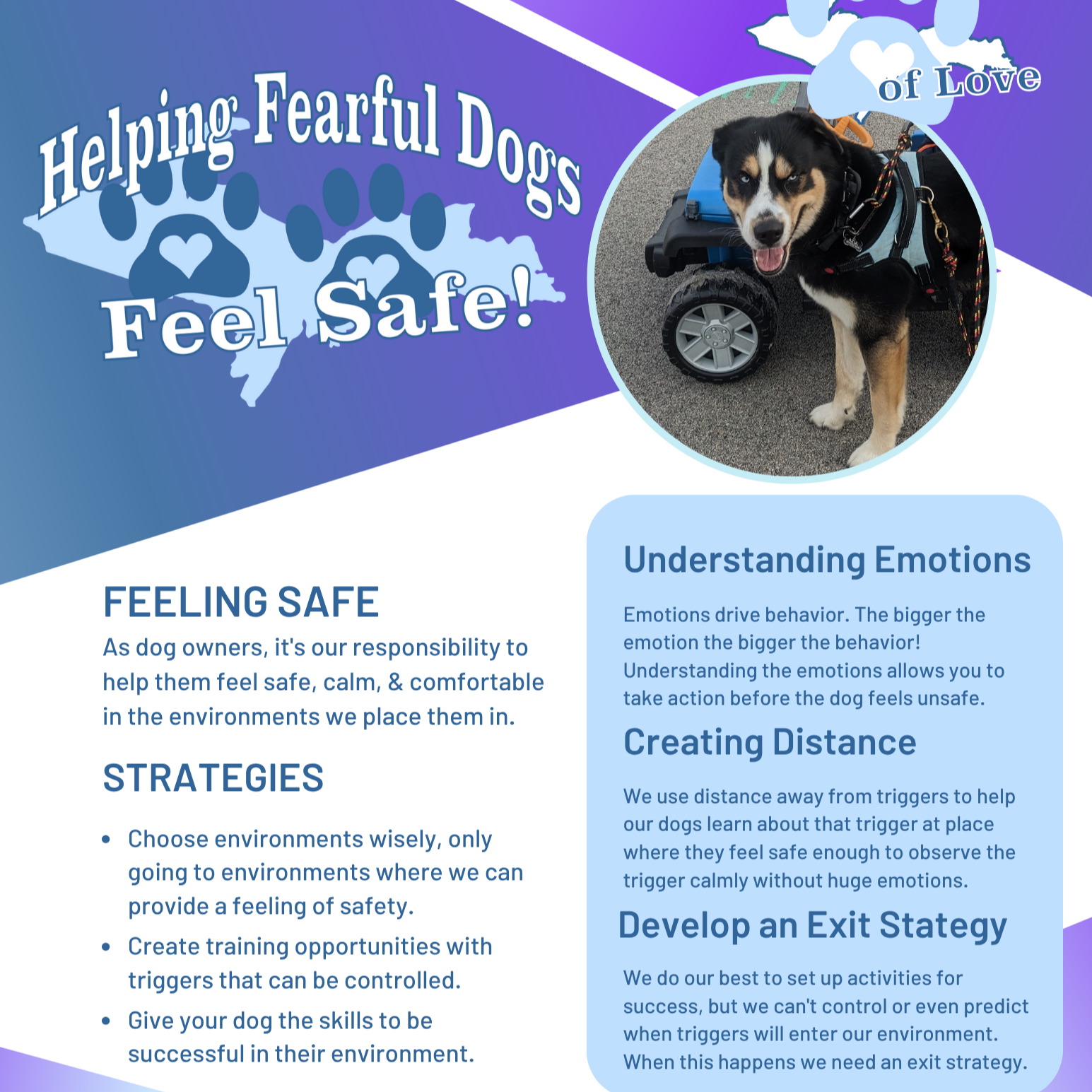 Helping Fearful Dogs FREE E-Book thumbnail
