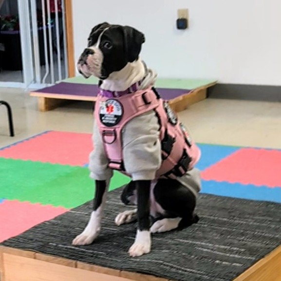 Play, Learn, Connect Popcorn Party thumbnail