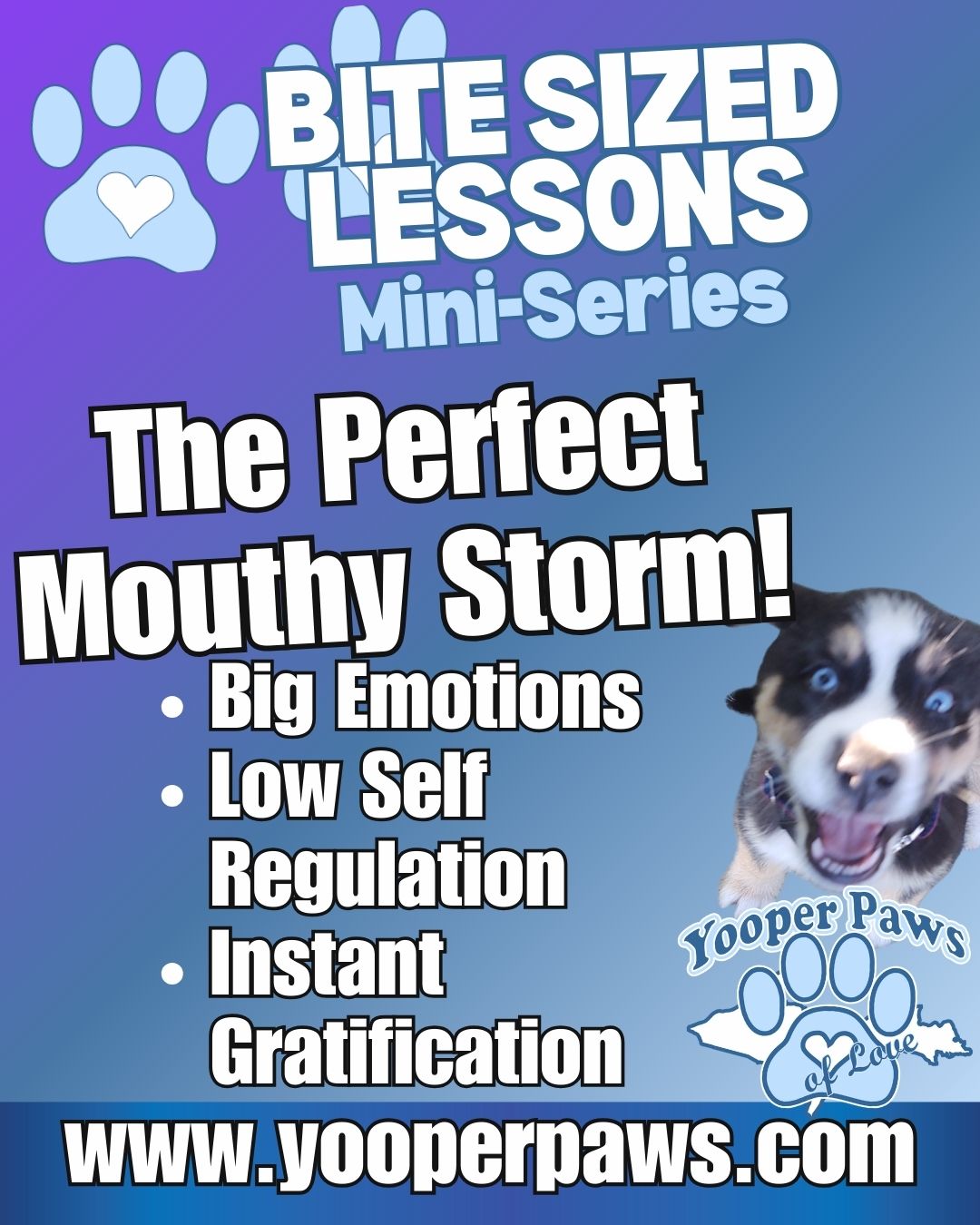 Bite-Sized Lessons thumbnail