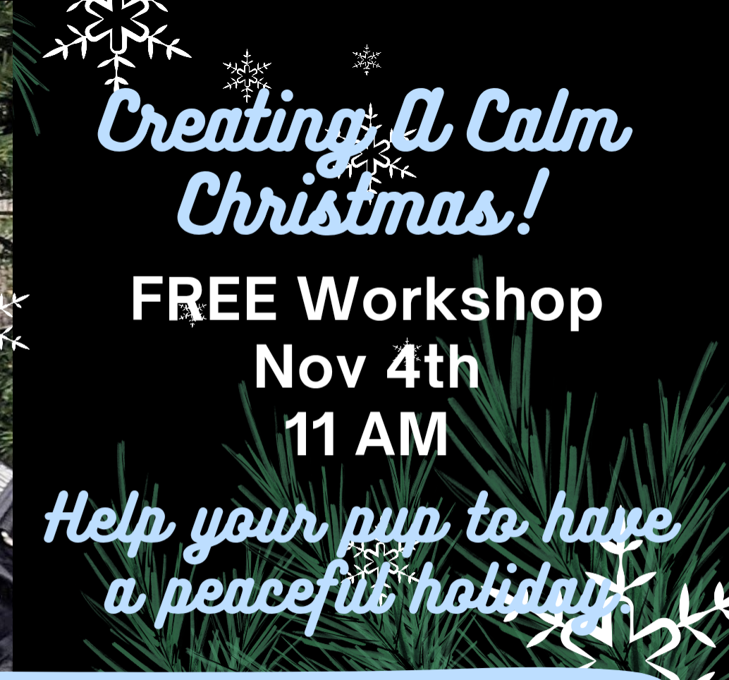 Learn More on Patreon thumbnail