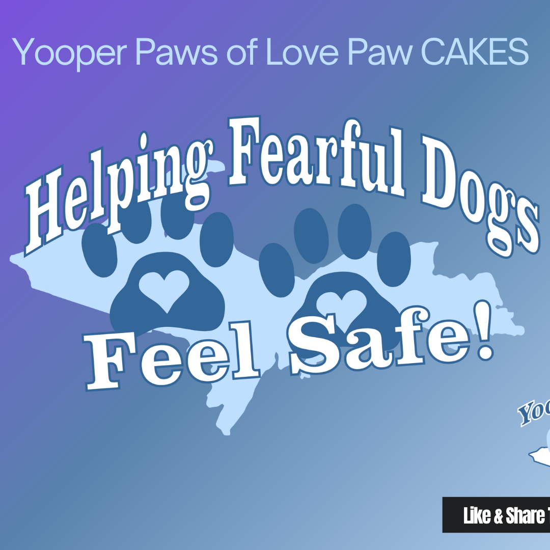 Helping Fearful Dogs Feel Safe Workshop thumbnail
