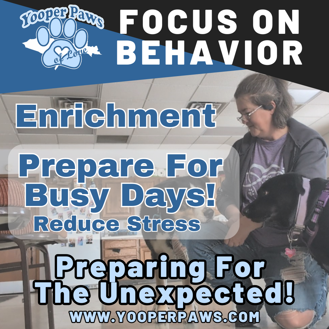 Enrichment for Behaviors Workshop thumbnail